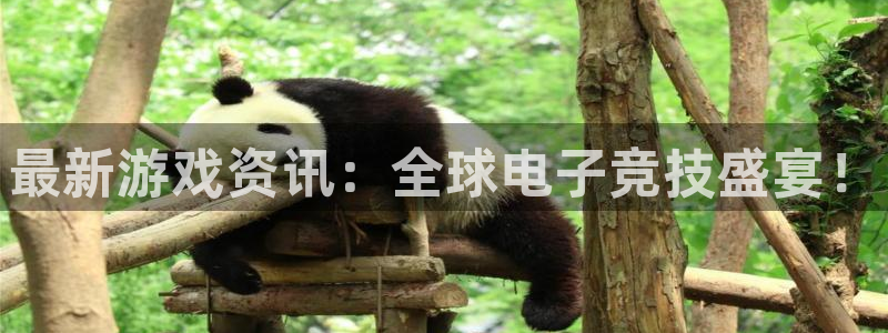 优贝娱乐网页登录入口：最新游戏资讯：全球电子竞技盛宴！