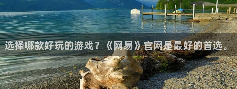 优贝娱乐升级5994月：选择哪款好玩的游戏？《网易》官网是最