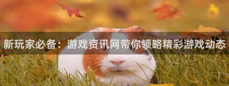 优贝娱乐代理登陆：新玩家必备：游戏资讯网带你领略精彩游戏动态