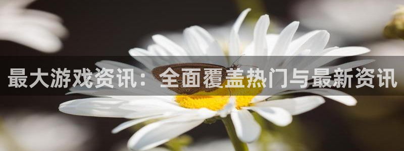 优贝娱乐登陆：最大游戏资讯：全面覆盖热门与最新资讯