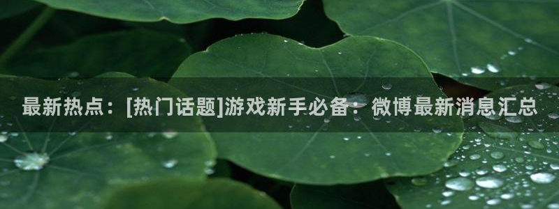 优贝娱乐平台：最新热点：[热门话题]游戏新手必备：微博最新消
