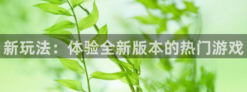 优贝娱乐平台注册资金多少：新玩法：体验全新版本的热门游戏