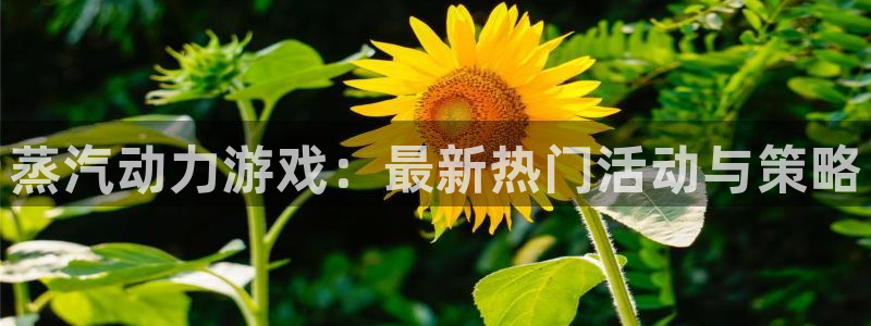 优贝娱乐开户测速：蒸汽动力游戏：最新热门活动与策略