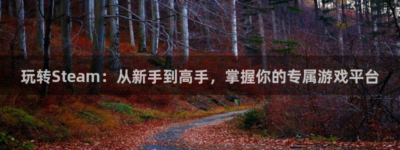 优贝娱乐集团：玩转Steam：从新手到高手，掌握你的专属游戏
